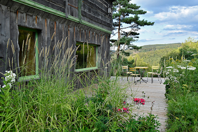Chalet Plantes & Plumes à Granges-Aumontzey