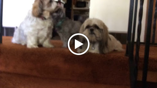 Park «Baker Park Reserve», reviews and photos, 2309 Baker Park Rd, Maple Plain, MN 55359, USA