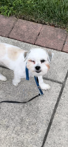 Pet Supply Store «Petco Animal Supplies», reviews and photos, 8909 Branch Ave d, Clinton, MD 20735, USA