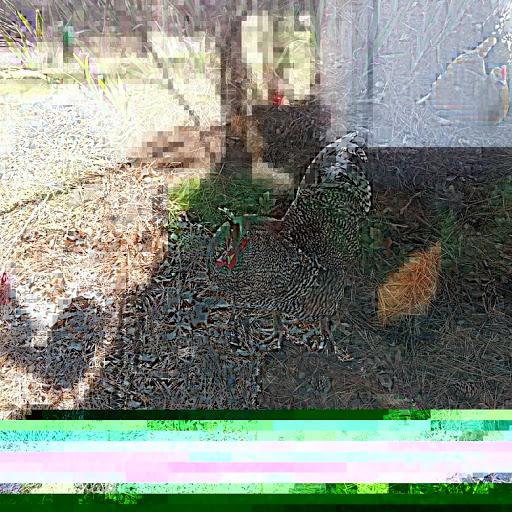 Animal Feed Store «Russell Feed & Supply», reviews and photos, 1312 NW Pkwy St, Azle, TX 76020, USA