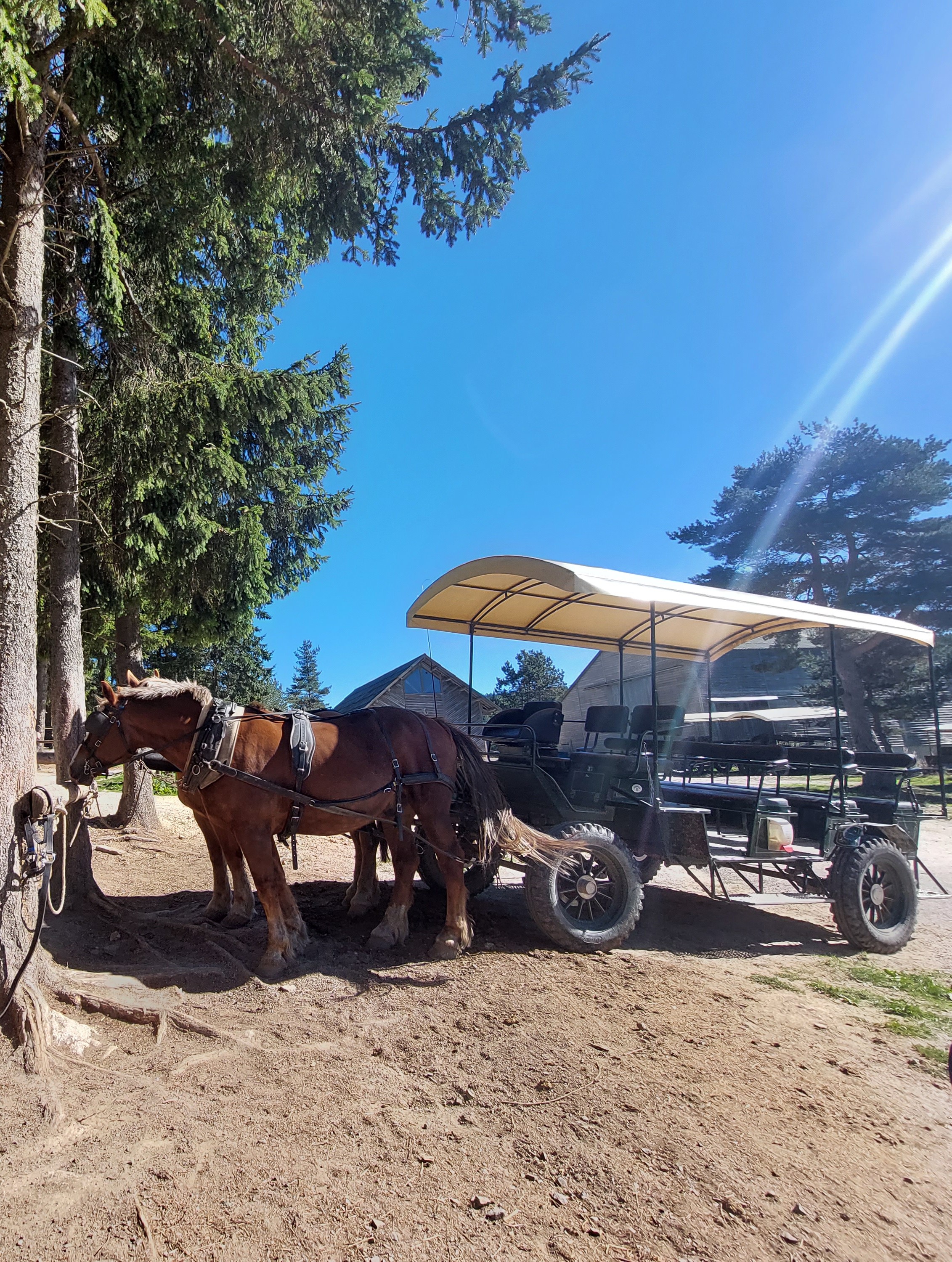 Photo n° 2 de l'avis de sophie.a fait le 20/09/2022 à 14:57