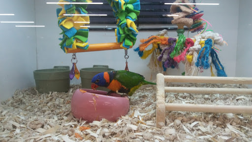 Pet Store «Fins Feathers Paws Claws», reviews and photos, 201 Station Rd, Quakertown, PA 18951, USA