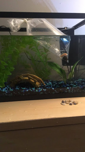 Pet Store «Pets Plus Inc», reviews and photos, 2610 Jefferson Davis Hwy, Stafford, VA 22554, USA