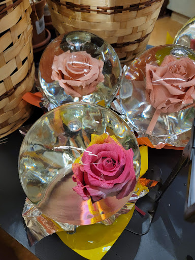 Supermarket «Big Y», reviews and photos, 224 Salem Turnpike, Norwich, CT 06360, USA