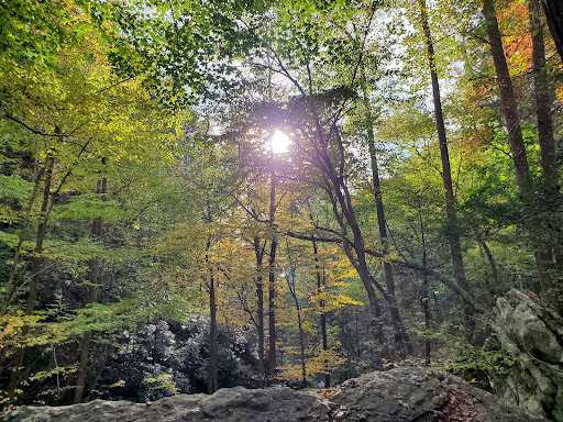 Tourist Attraction «Ozone Falls», reviews and photos, 14563 TN-1, Rockwood, TN 37854, USA