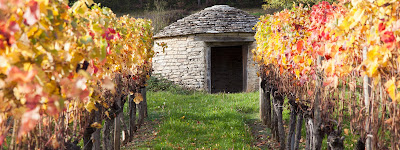 Vente Vins de Bourgogne à Beaune