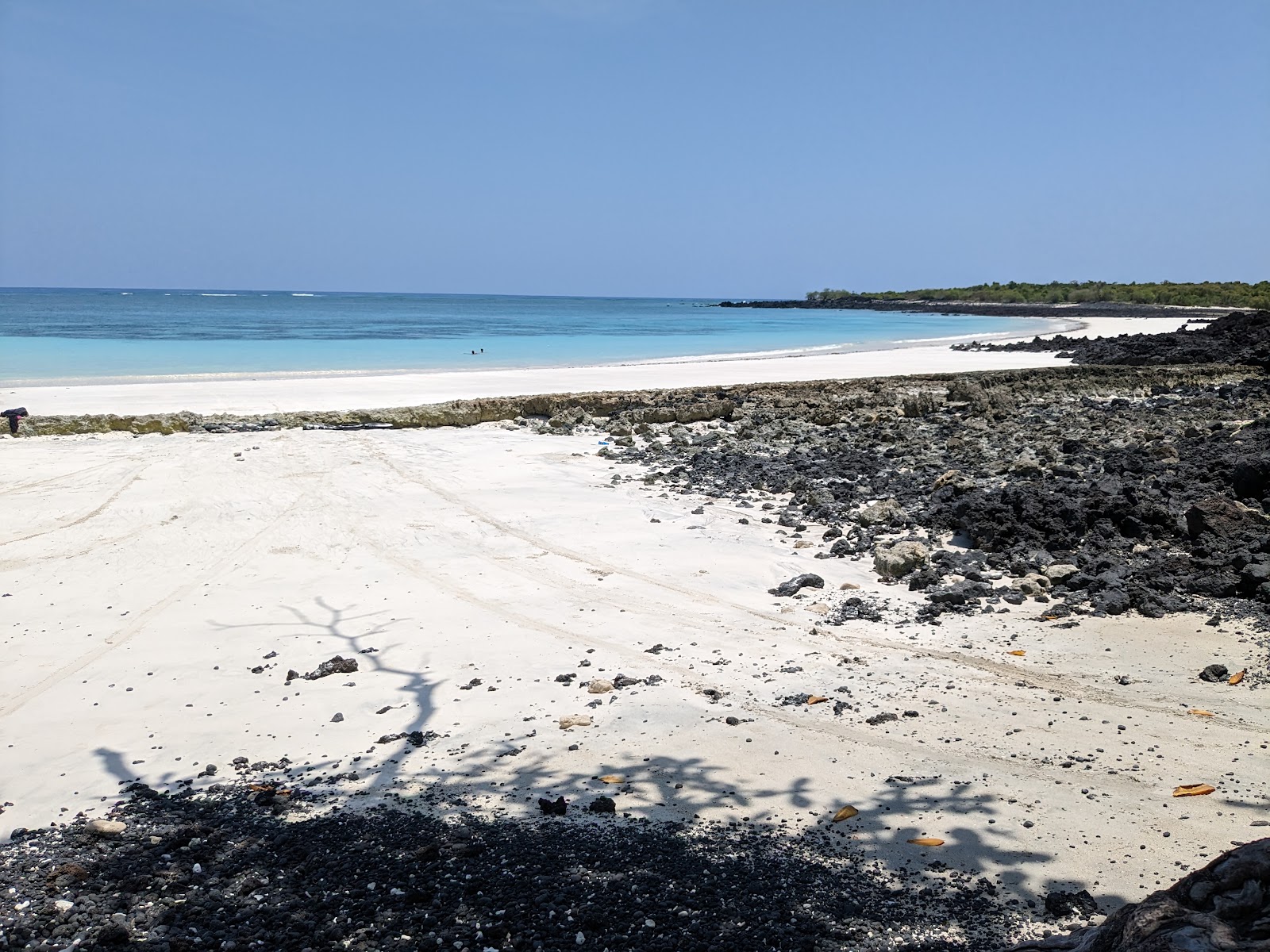 Sada Beach'in fotoğrafı geniş plaj ile birlikte