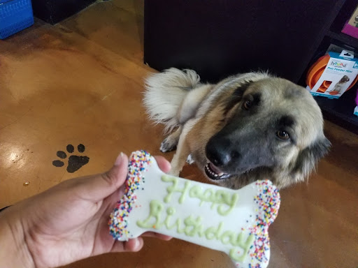 Pet Store «Downtown Pawz», reviews and photos, 1623 Main St #106, Dallas, TX 75201, USA