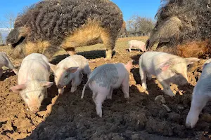 La Ferme du Rival - Frechat Arnaud image