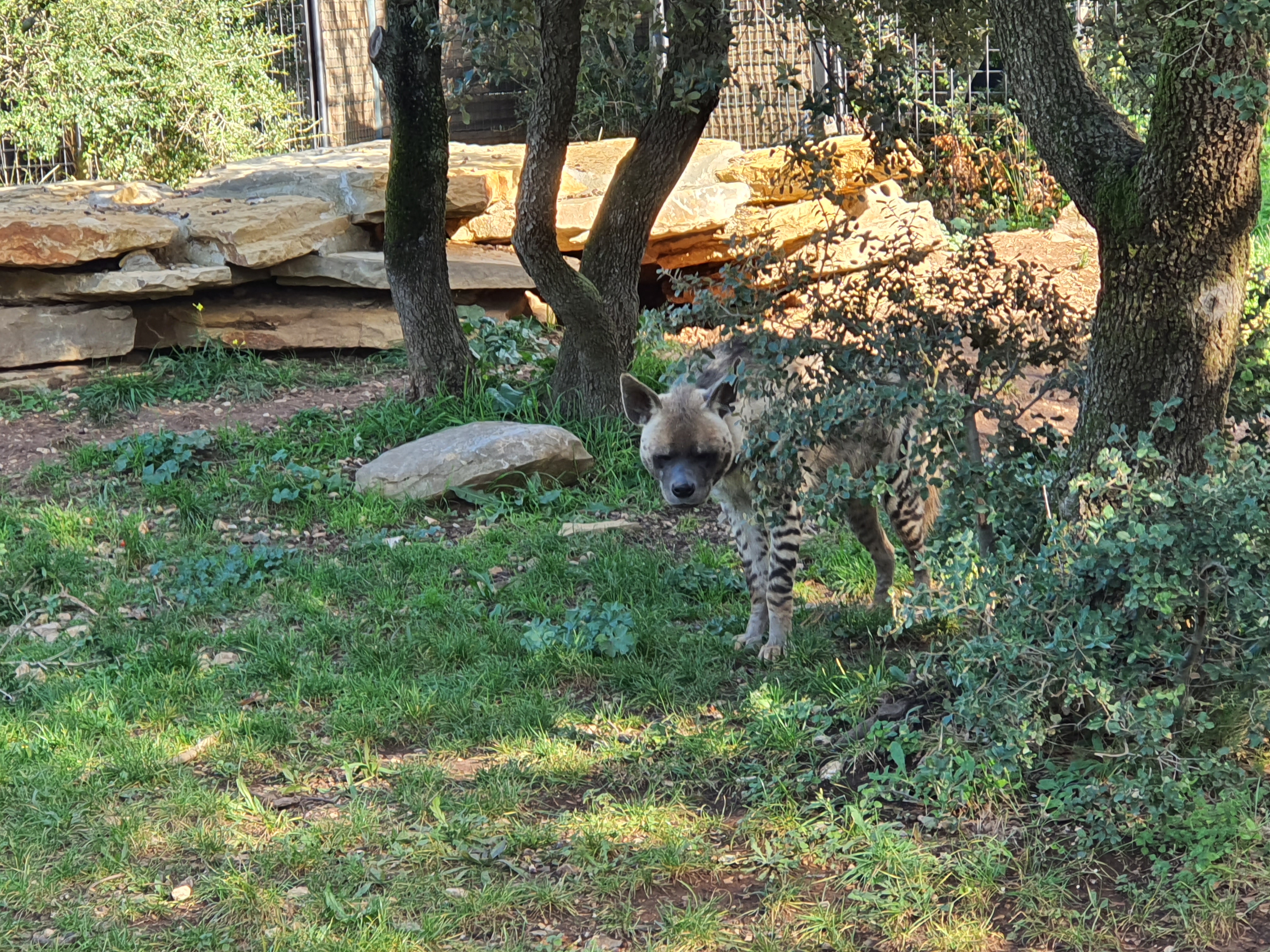 Photo n° 6 de l'avis de natural.o fait le 22/10/2021 à 14:01