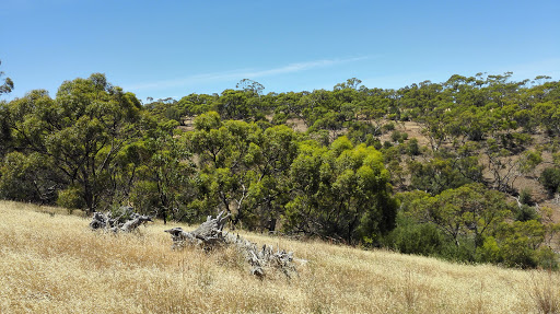 Mountain campsites in Adelaide