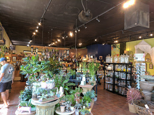 Gift Shop «Wild Flowers», reviews and photos, 1201 Madison St, Denver, CO 80206, USA