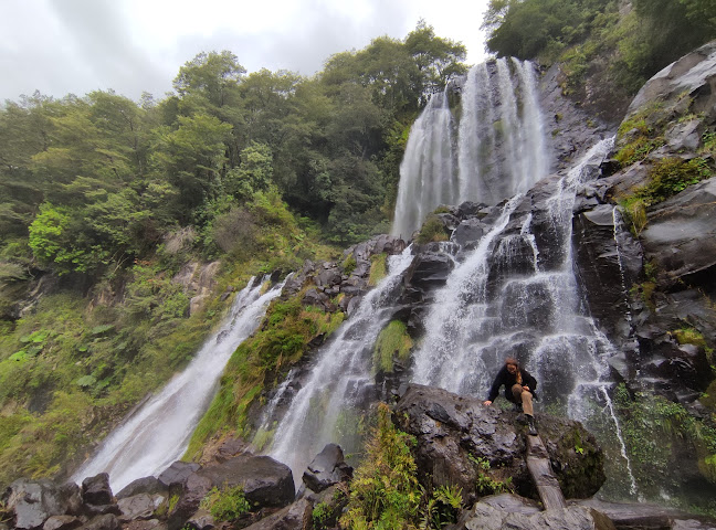 Opiniones de Sendero La Cascada Encantada - Reserva Biologica Juan Millanao en Panguipulli - Museo