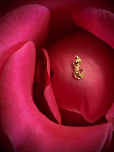 Explore tattoo ideas for brothers death, creative tattoo ideas in Chapel Hill, available at Spica Body Piercing