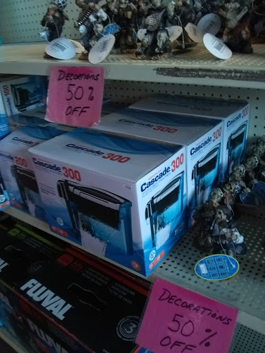 Tropical Fish Store «Trop Aquarium», reviews and photos, 3125 E Tropicana Ave D, Las Vegas, NV 89121, USA