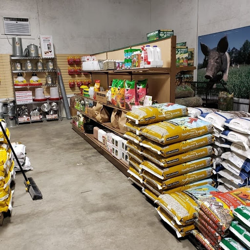 Florist «Petals & Paws», reviews and photos, 465 Albany Turnpike, Canton, CT 06019, USA