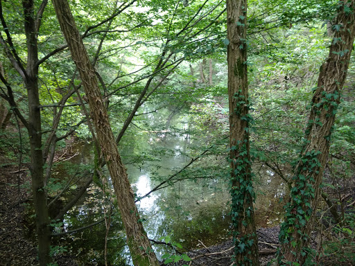 Riserva Naturale Fontanile Nuovo