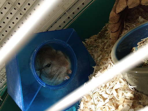 Pet Store «Pet Cove», reviews and photos, 820 E Center St, Kingsport, TN 37660, USA