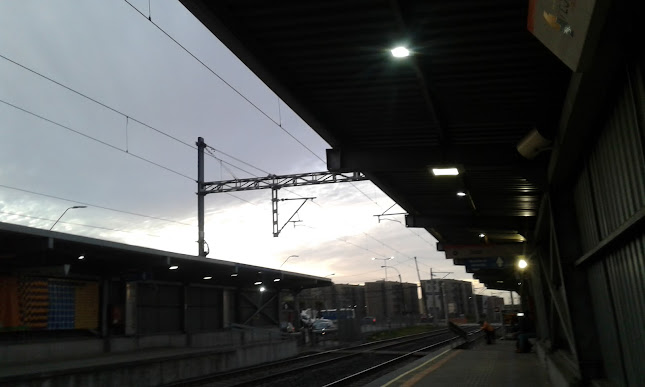 Estación Los Canelos - Servicio de transporte