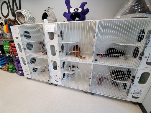 Pet Supply Store «Natural Pet Center», reviews and photos, 3037 13th Ave S, Fargo, ND 58103, USA