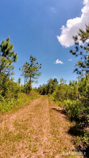 Nature Preserve «Conner Preserve», reviews and photos, 22500 FL-52, Land O Lakes, FL 34637, USA