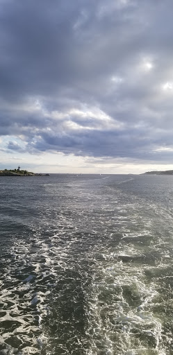 Cruise Agency «Capt. Bill & Sons Whale Watch», reviews and photos, 24 Harbor Loop, Gloucester, MA 01930, USA