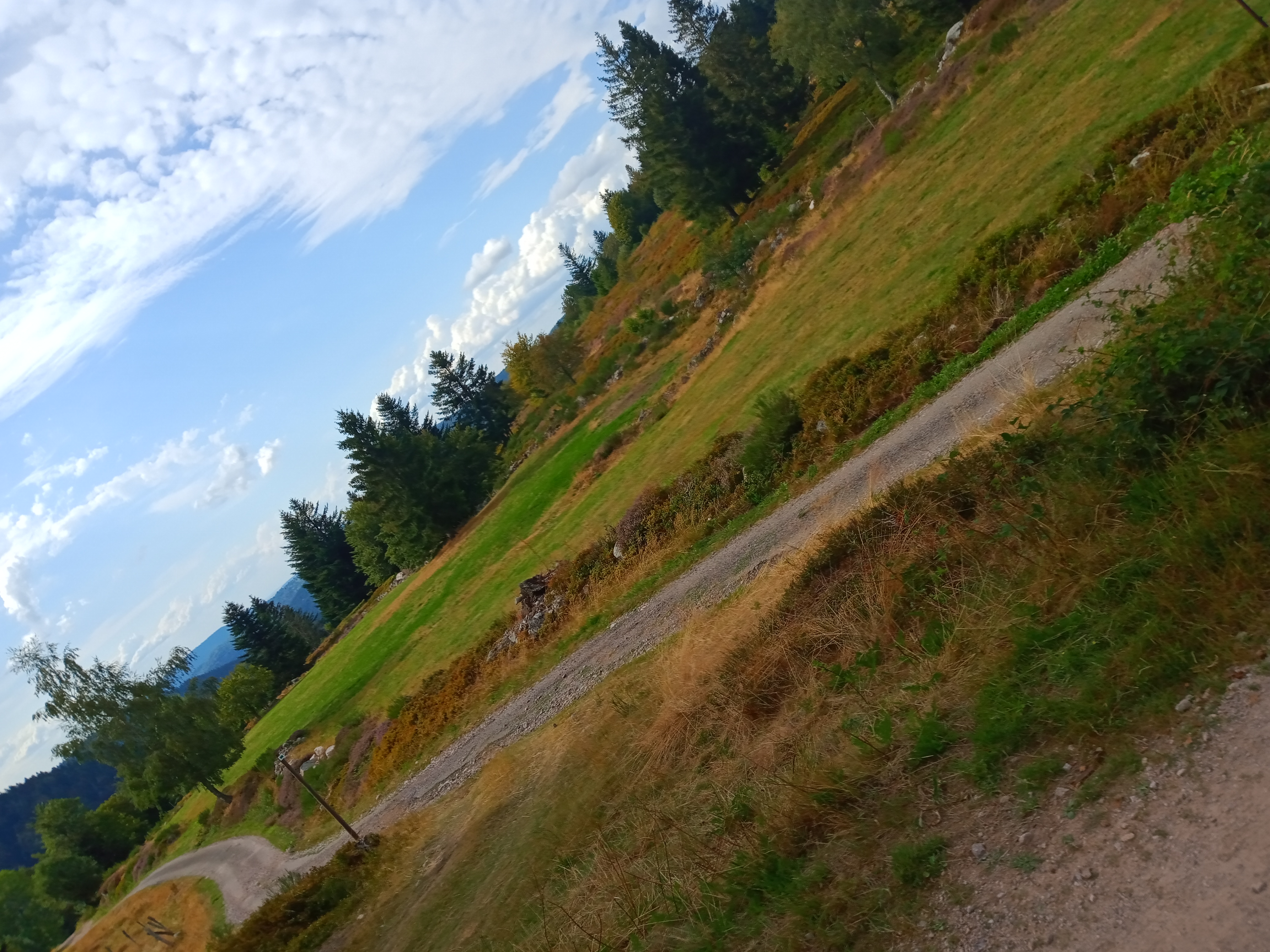 Photo n° 1 de l'avis de Cyrille.a fait le 16/08/2020 à 16:59
