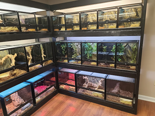 Reptile Store «CV Exotics», reviews and photos, 320 Sandown Rd, East Hampstead, NH 03826, USA