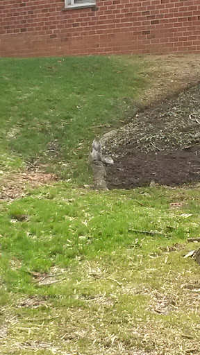 National Park «Greenbelt Park», reviews and photos, 6565 Greenbelt Rd, Greenbelt, MD 20770, USA