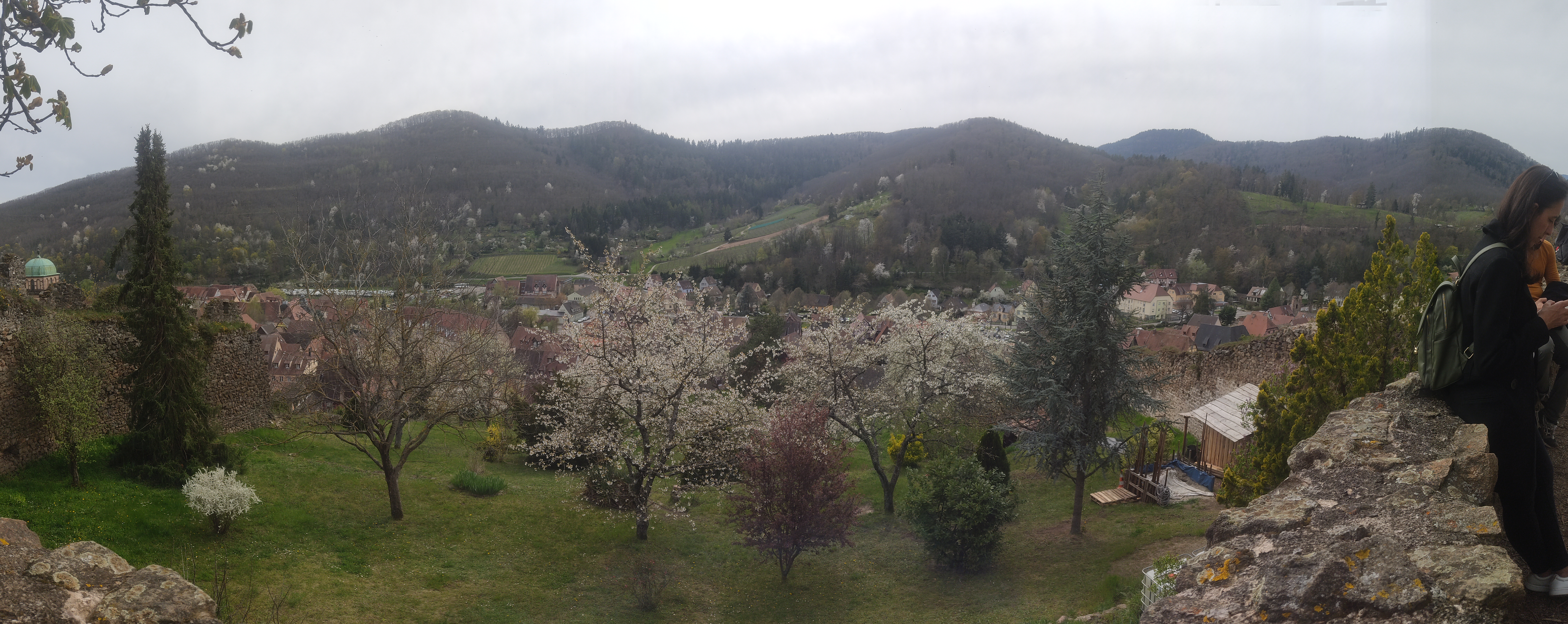 Photo n° 2 de l'avis de Cathy.i fait le 13/04/2023 à 17:24
