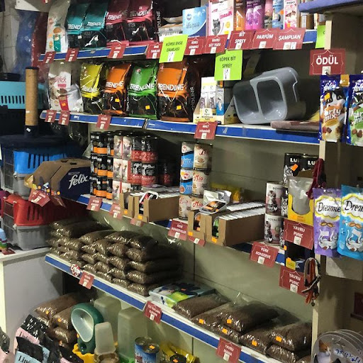 Alptürk Akvaryum & Pet | Gaziosmanpaşa İstanbul - Evcil hayvan mağazası
