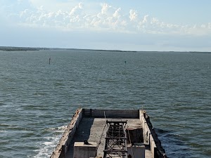 Canaveral National Seashore - photo 14