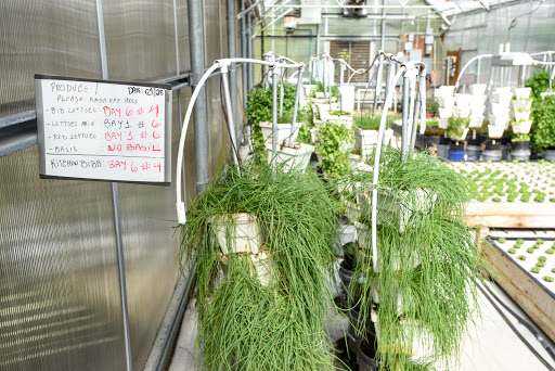 Grocery Store «Water Fresh Farm Marketplace», reviews and photos, 151 Hayden Rowe St, Hopkinton, MA 01748, USA