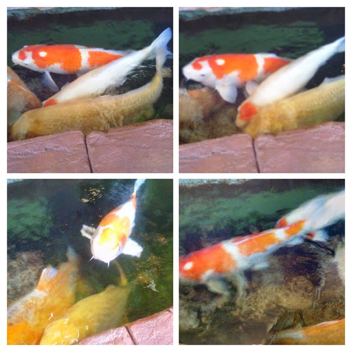 Explore dirty dancing tattoo ideas, creative tattoo ideas in Minneapolis, available at Leviticus Tattoo and Body Piercing