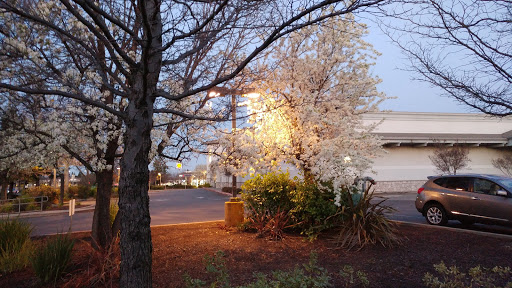 Coffee Shop «Starbucks», reviews and photos, 4033 Cavitt Stallman Rd, Granite Bay, CA 95746, USA