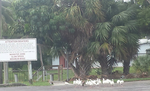 Park «Griffing Park», reviews and photos, 12220 Griffing Blvd, North Miami, FL 33161, USA