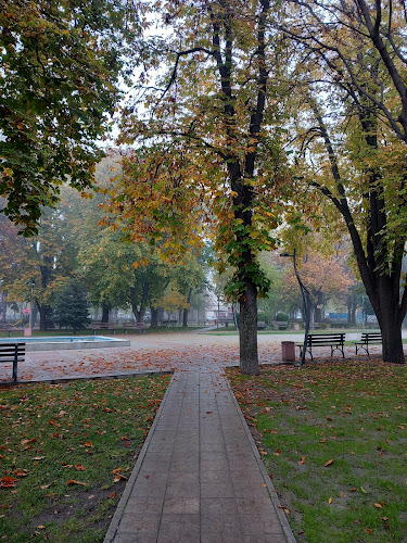 Отзиви за Парк „Белите брези“ в Пловдив - Други