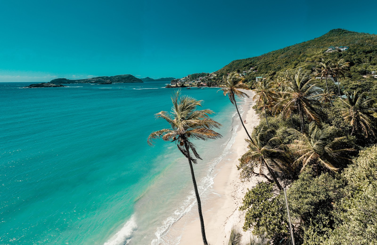 Photo de Plage de Bequia - bon endroit convivial pour les animaux de compagnie pour les vacances