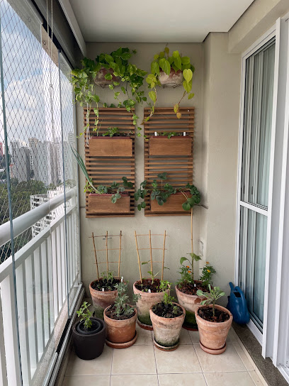 verdi Perdizes São Paulo