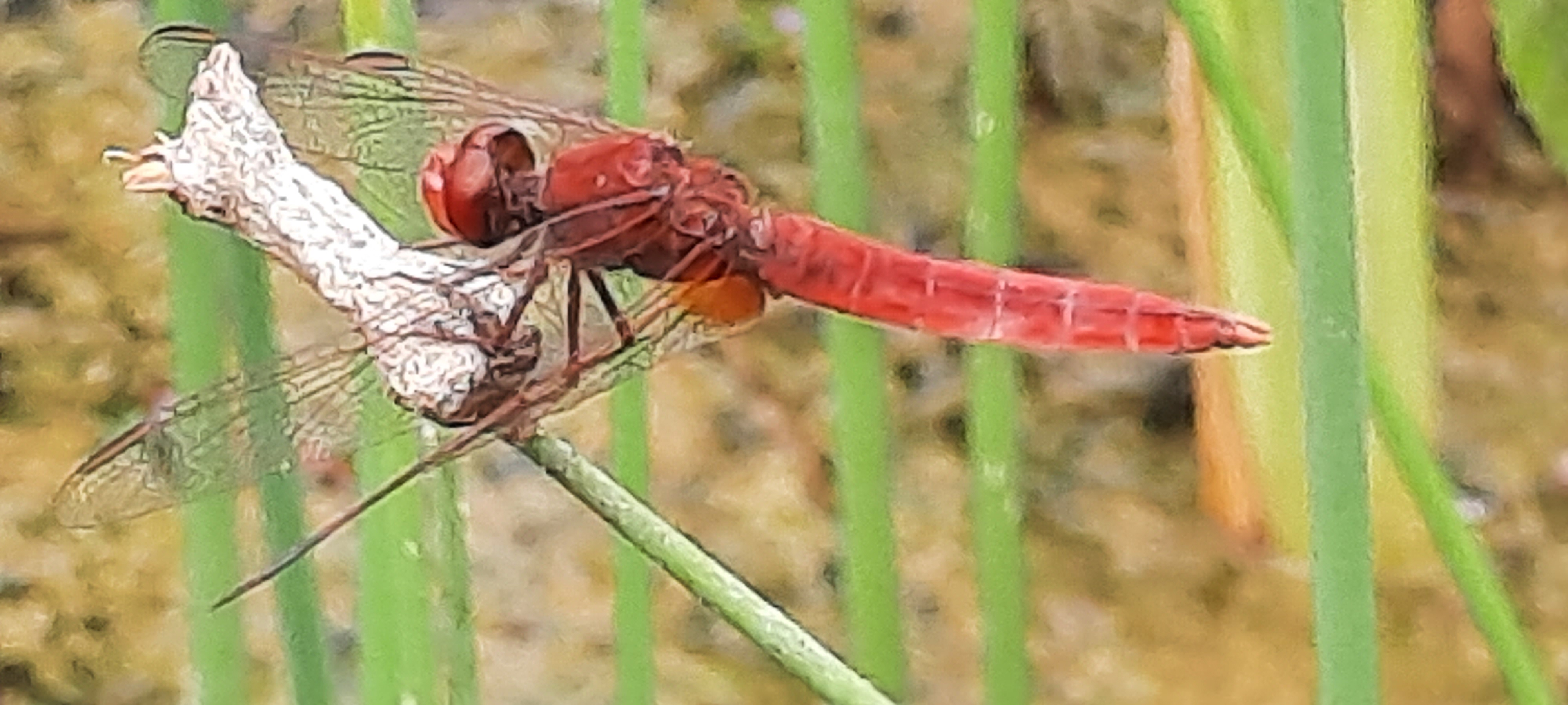 Photo n° 7 de l'avis de Follow.e fait le 28/07/2021 à 17:27