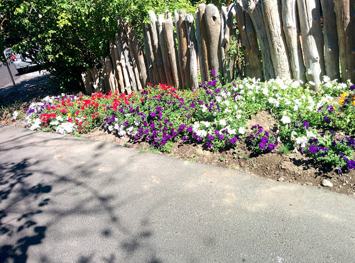 Park «Matthews Beach Park», reviews and photos, 5100 NE 93rd St, Seattle, WA 98115, USA