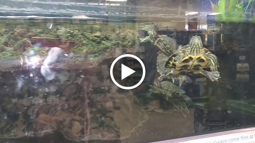 Pet Supply Store «Petco Animal Supplies», reviews and photos, 7400 Rivers Ave z, North Charleston, SC 29406, USA