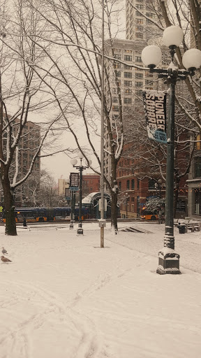 Park «City Hall Park», reviews and photos, 450 3rd Ave, Seattle, WA 98104, USA