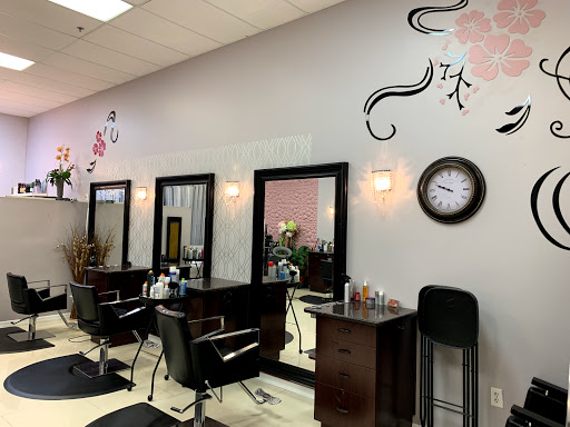 Beauty Salon «Elysium Beauty Salon», reviews and photos, 1821 Bruce B Downs Blvd, Wesley Chapel, FL 33544, USA