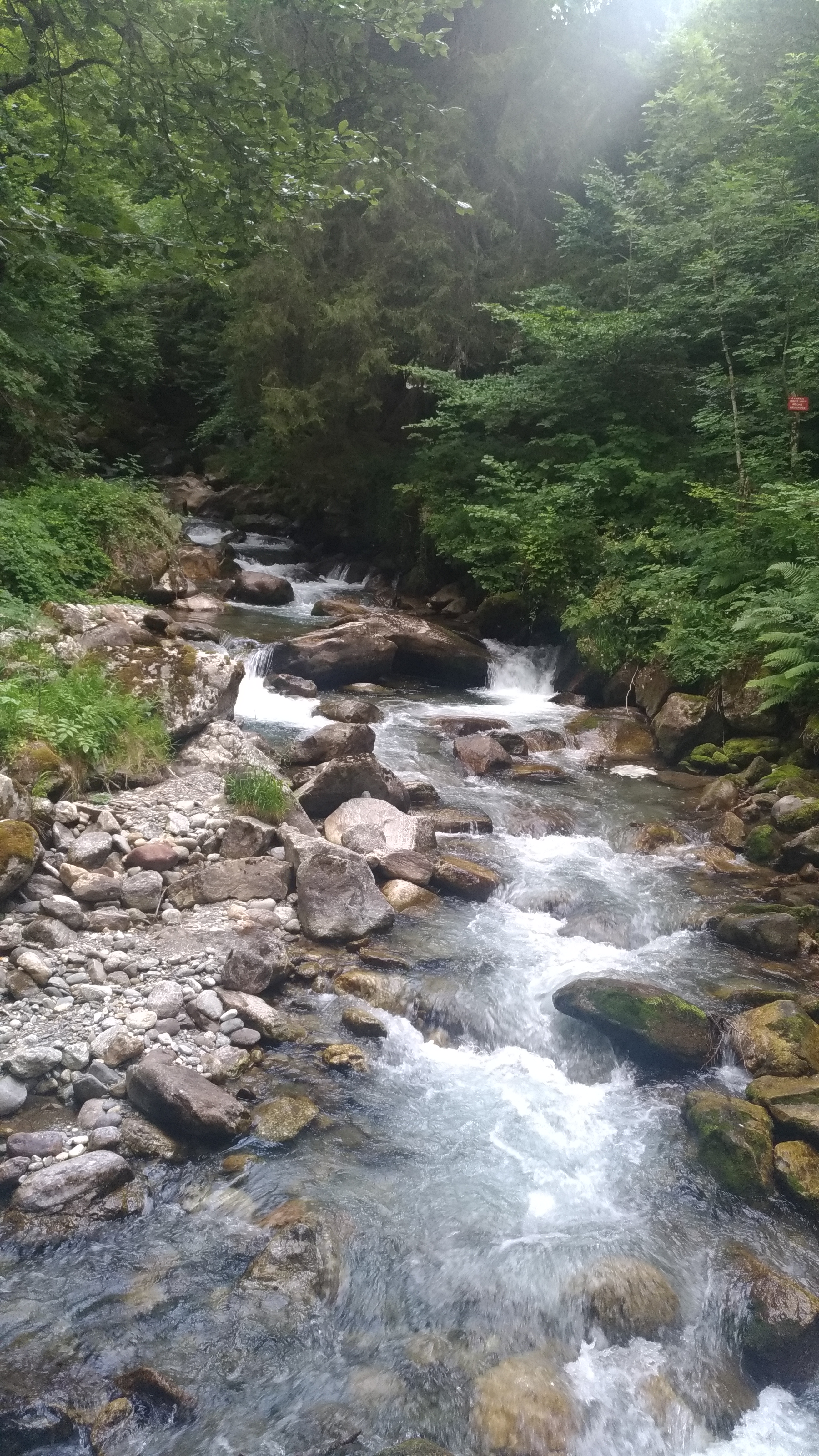 Photo n° 1 de l'avis de Virginie.H fait le 30/07/2019 à 23:50