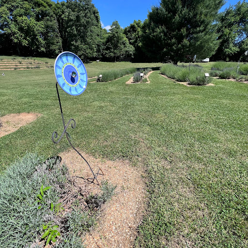 Farm «Blooming Hill Lavender Farm», reviews and photos, 19929 Telegraph Springs Rd, Purcellville, VA 20132, USA