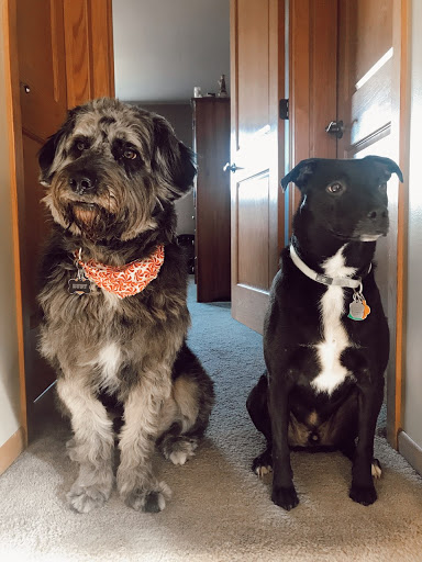 Auto Body Shop «Kubis Auto Body», reviews and photos, 20 W Naperville Rd, Westmont, IL 60559, USA