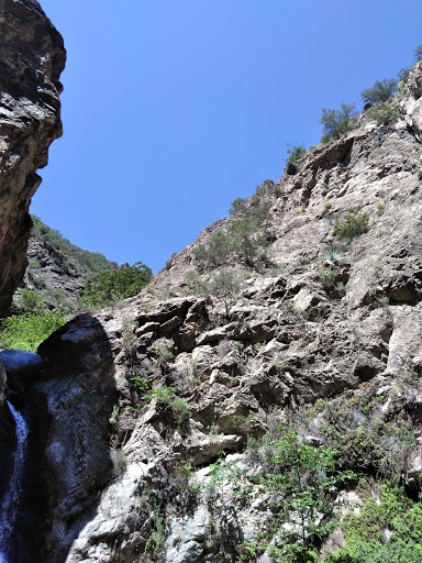 Nature Preserve «Eaton Canyon Nature Center», reviews and photos, 1750 N Altadena Dr, Pasadena, CA 91107, USA