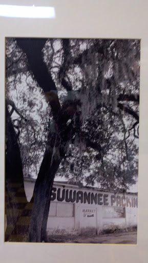 Shopping Mall «South Oaks Shopping Center», reviews and photos, 1546 S Ohio Ave, Live Oak, FL 32064, USA