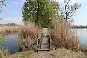 Morotva-tó image